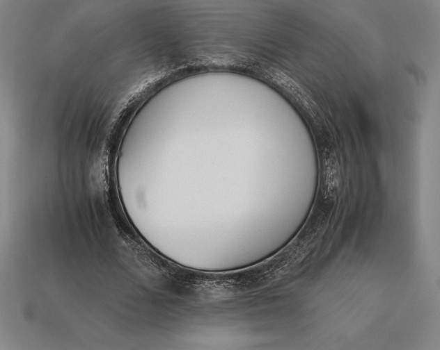 X0000113170680200909181832