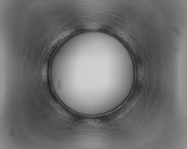 X0000113170681200909181832