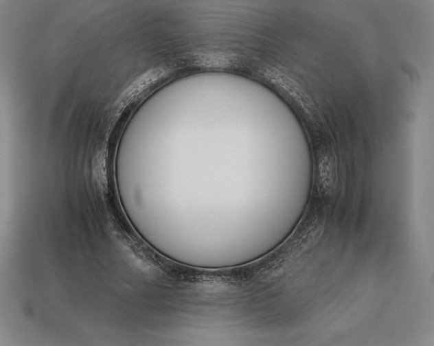 X0000113170682200909181832