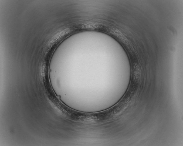 X0000113170683200909181832