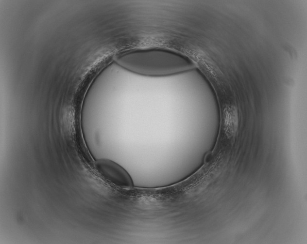 X0000113170684200909181832