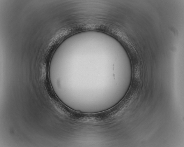 X0000113170685200909181832