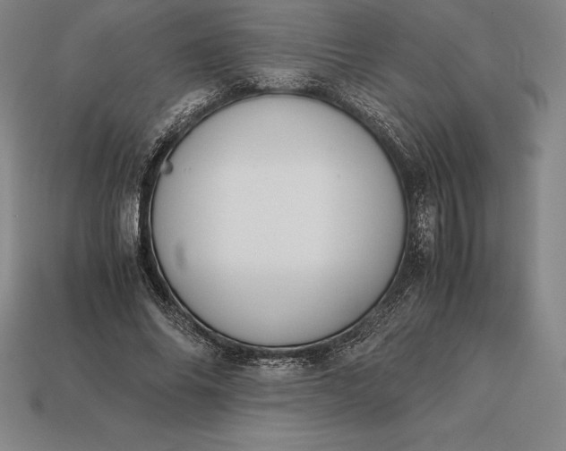 X0000113170686200909181832