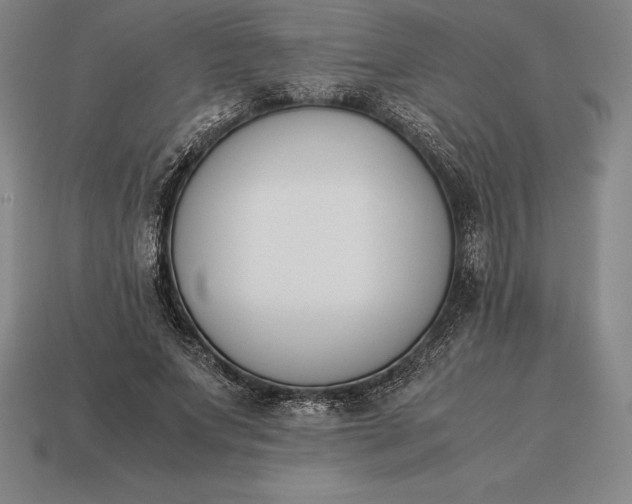 X0000113170687200909181832