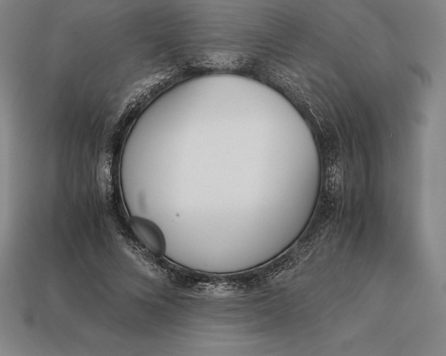 X0000113170688200909181832