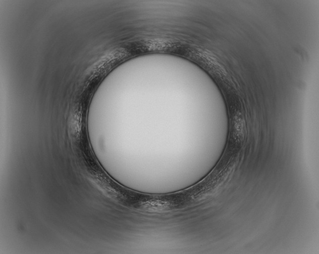 X0000113170691200909181832