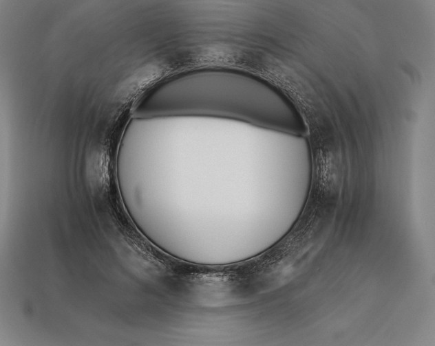 X0000113170692200909181832