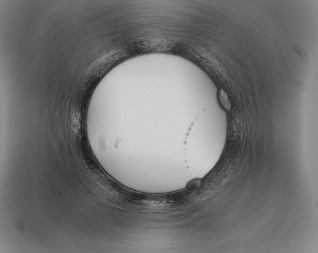 X0000113170693200909181832