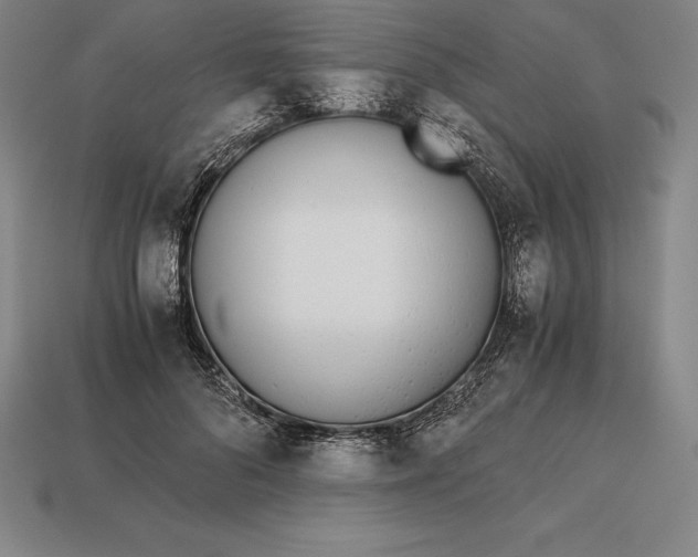 X0000113170696200909181832