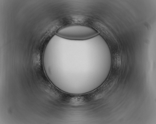 X0000113170700200909181832