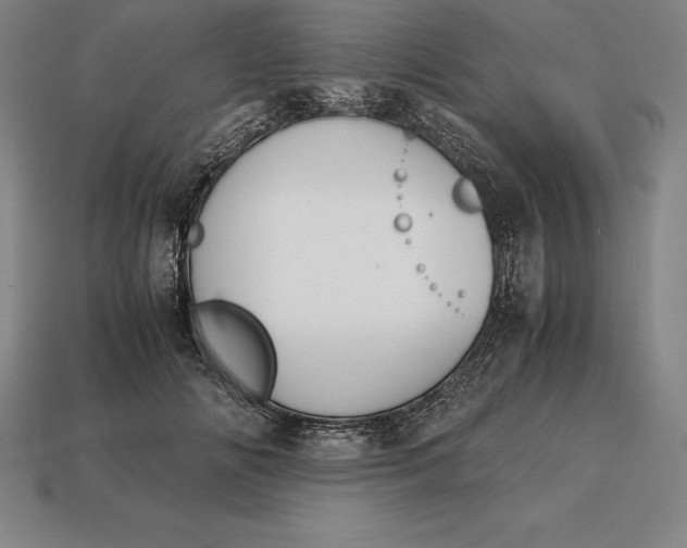 X0000113170702200909181832