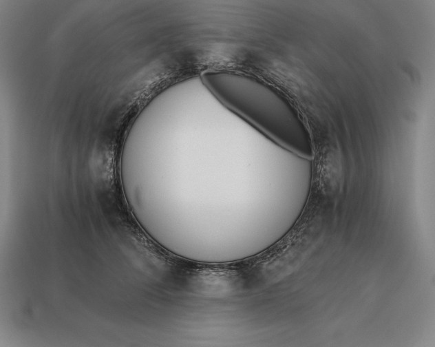 X0000113170708200909181832