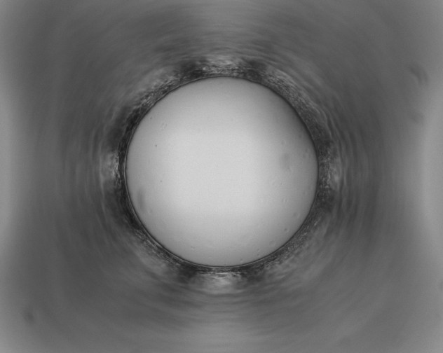 X0000113170711200909181832