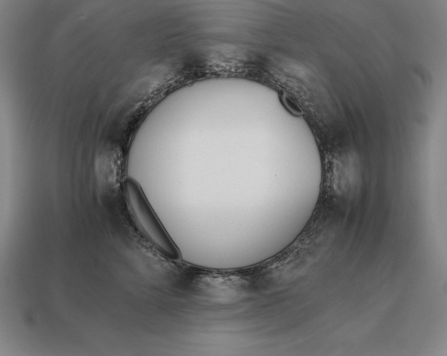 X0000113170712200909181832