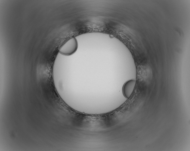 X0000113170713200909181832