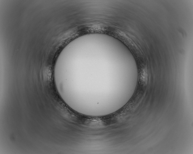 X0000113170715200909181832