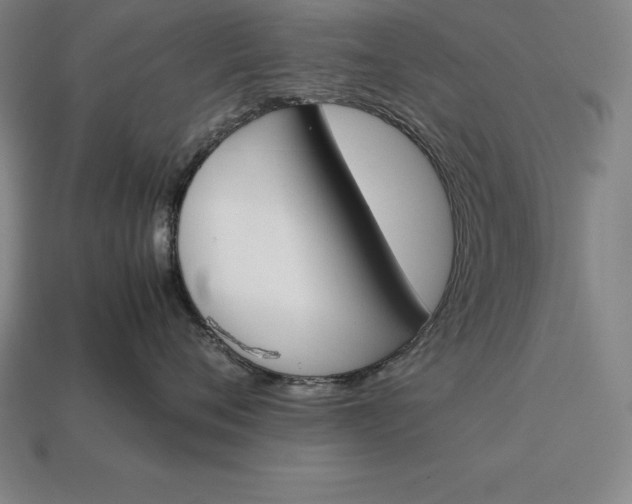 X0000113170720200909181832