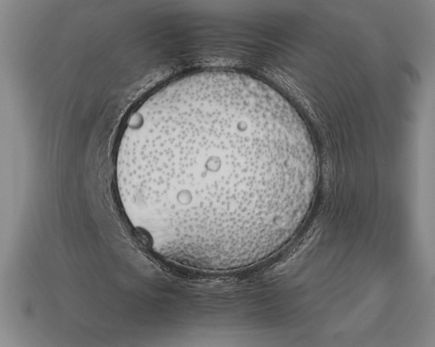 X0000113170721200909181831