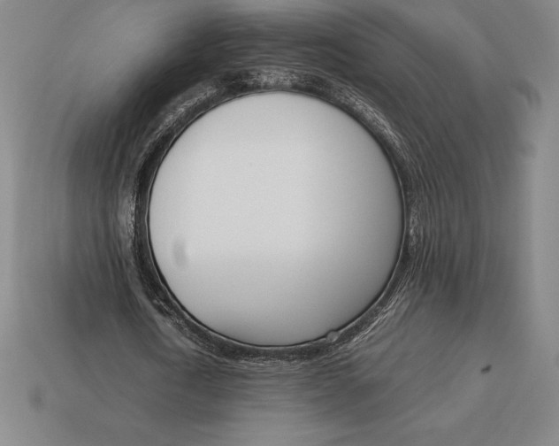 X0000113170722200909181831