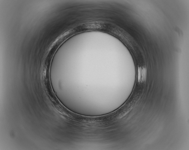 X0000113170723200909181831