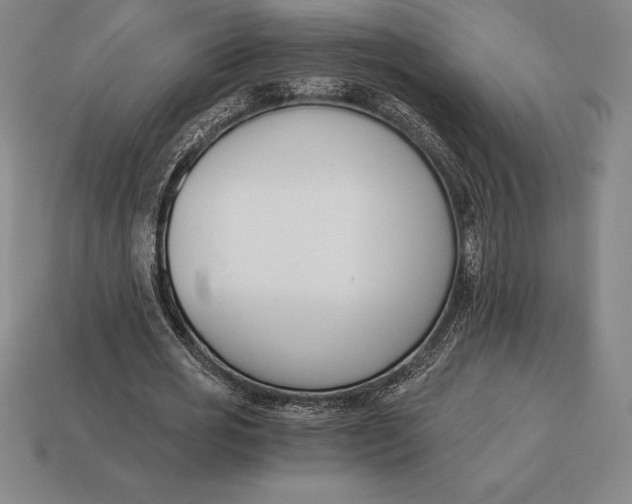 X0000113170725200909181831