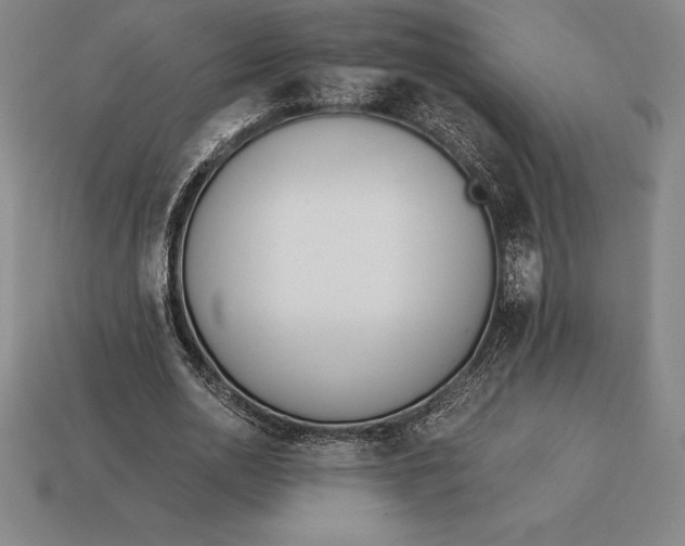 X0000113170726200909181831