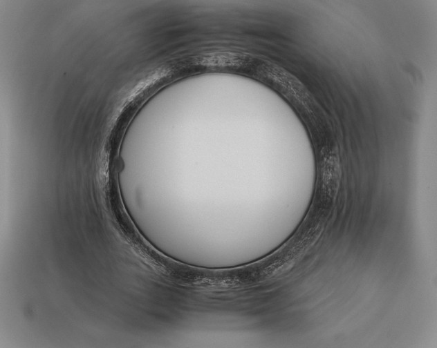 X0000113170727200909181831