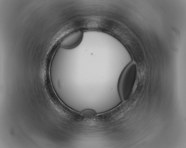 X0000113170728200909181831