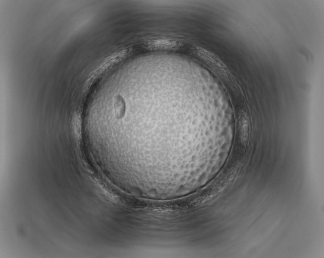 X0000113170729200909181831