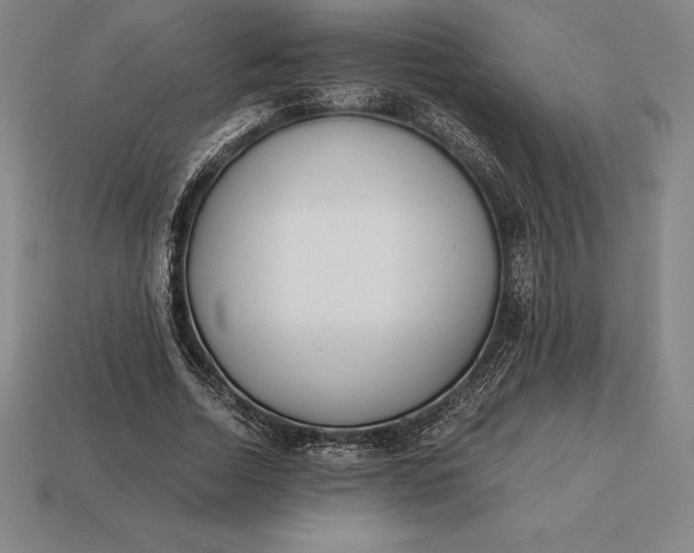 X0000113170730200909181831