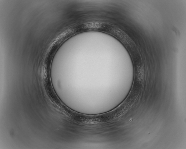 X0000113170731200909181831