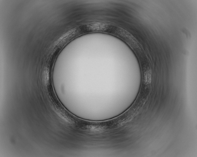 X0000113170733200909181831