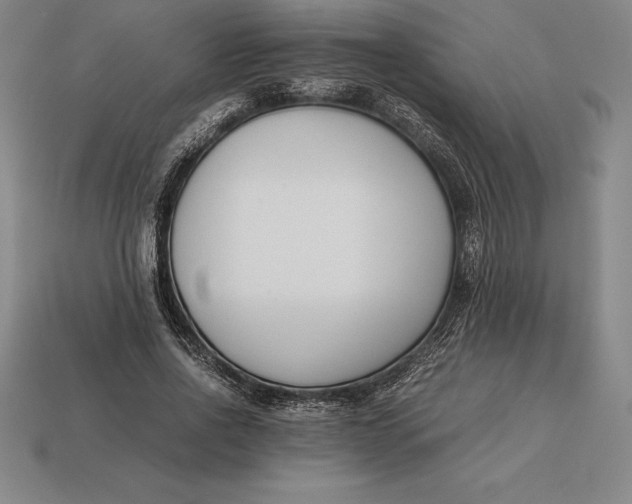 X0000113170734200909181831