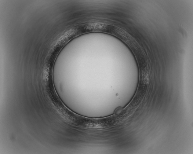 X0000113170735200909181831