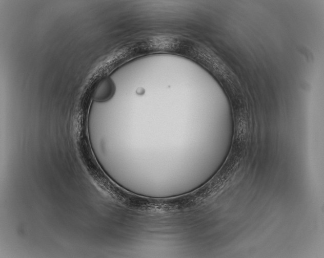 X0000113170736200909181831