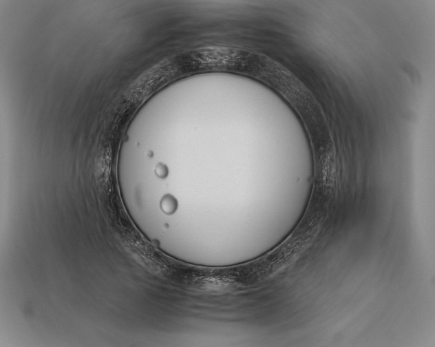 X0000113170737200909181831