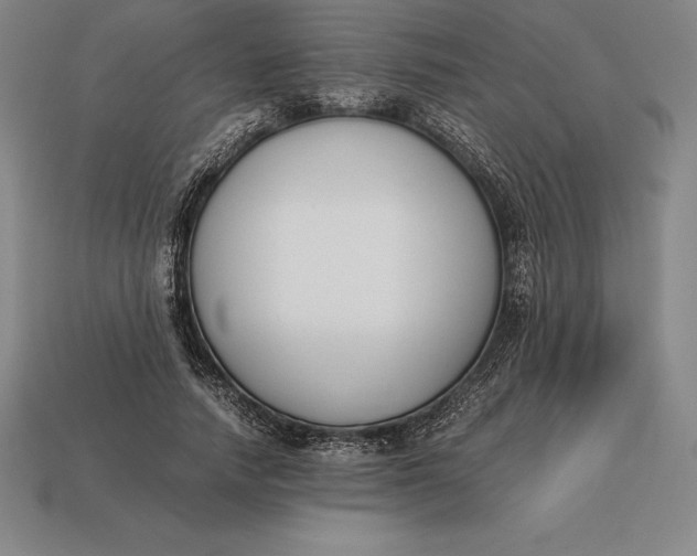 X0000113170738200909181831