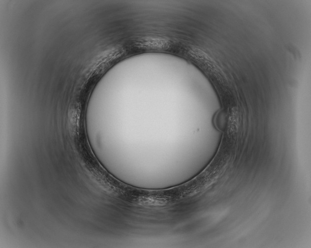 X0000113170739200909181831