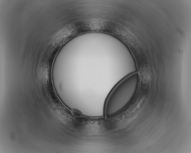 X0000113170740200909181831