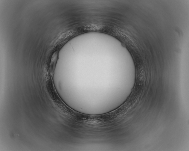 X0000113170743200909181831