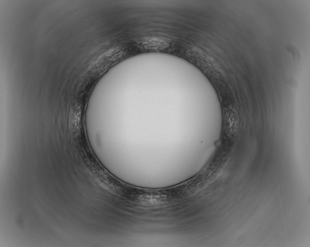 X0000113170745200909181831