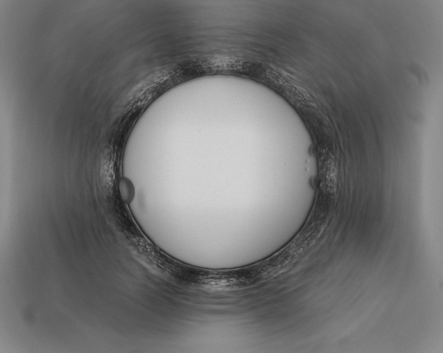 X0000113170746200909181831