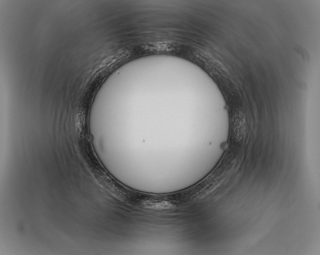 X0000113170747200909181831