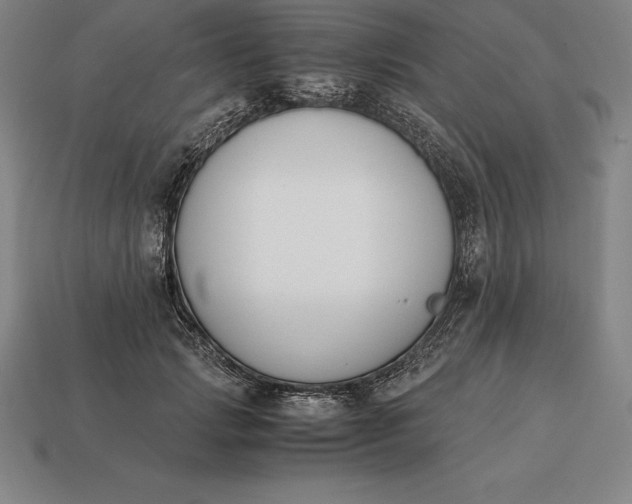 X0000113170749200909181831