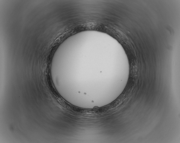 X0000113170750200909181831