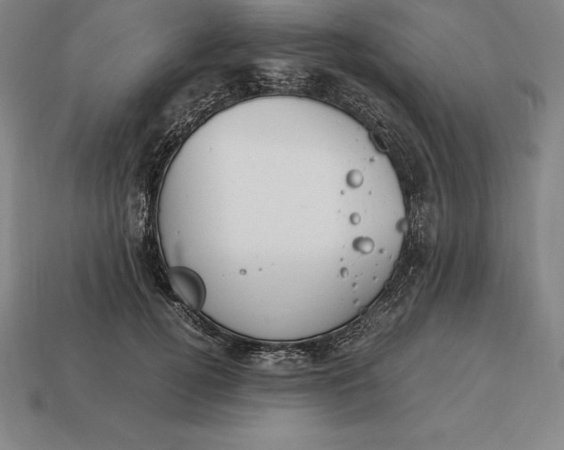 X0000113170752200909181831