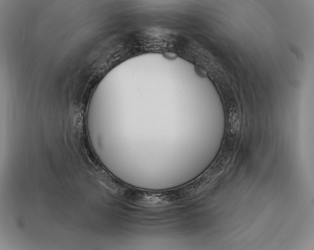 X0000113170753200909181831