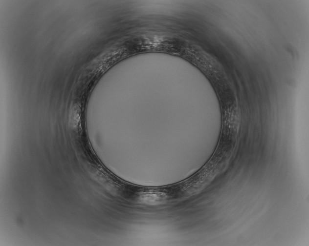 X0000113170754200909181831