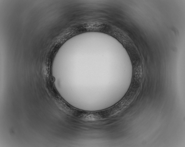 X0000113170755200909181831