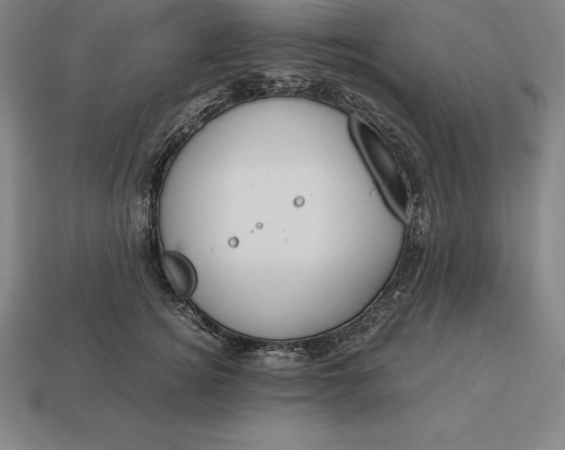 X0000113170756200909181831